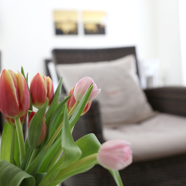 Blumen in der Ferienwohnung Achtern Diek