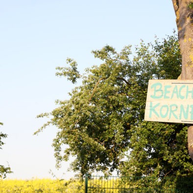 Beach im Kornfeld am Rapsfeld