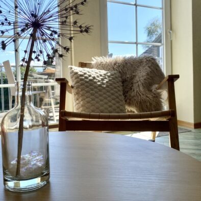 Blick aus Wohnzimmer der Ferienwohnung Sperlings Lus auf dem Ferienhof Hofbude Fehmarn