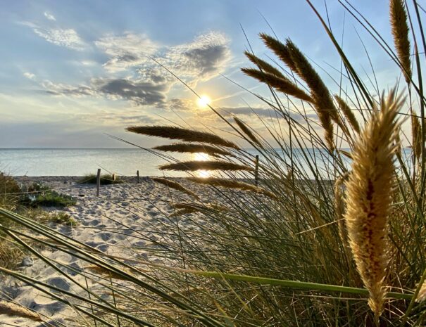 Strand auf Fehmarn